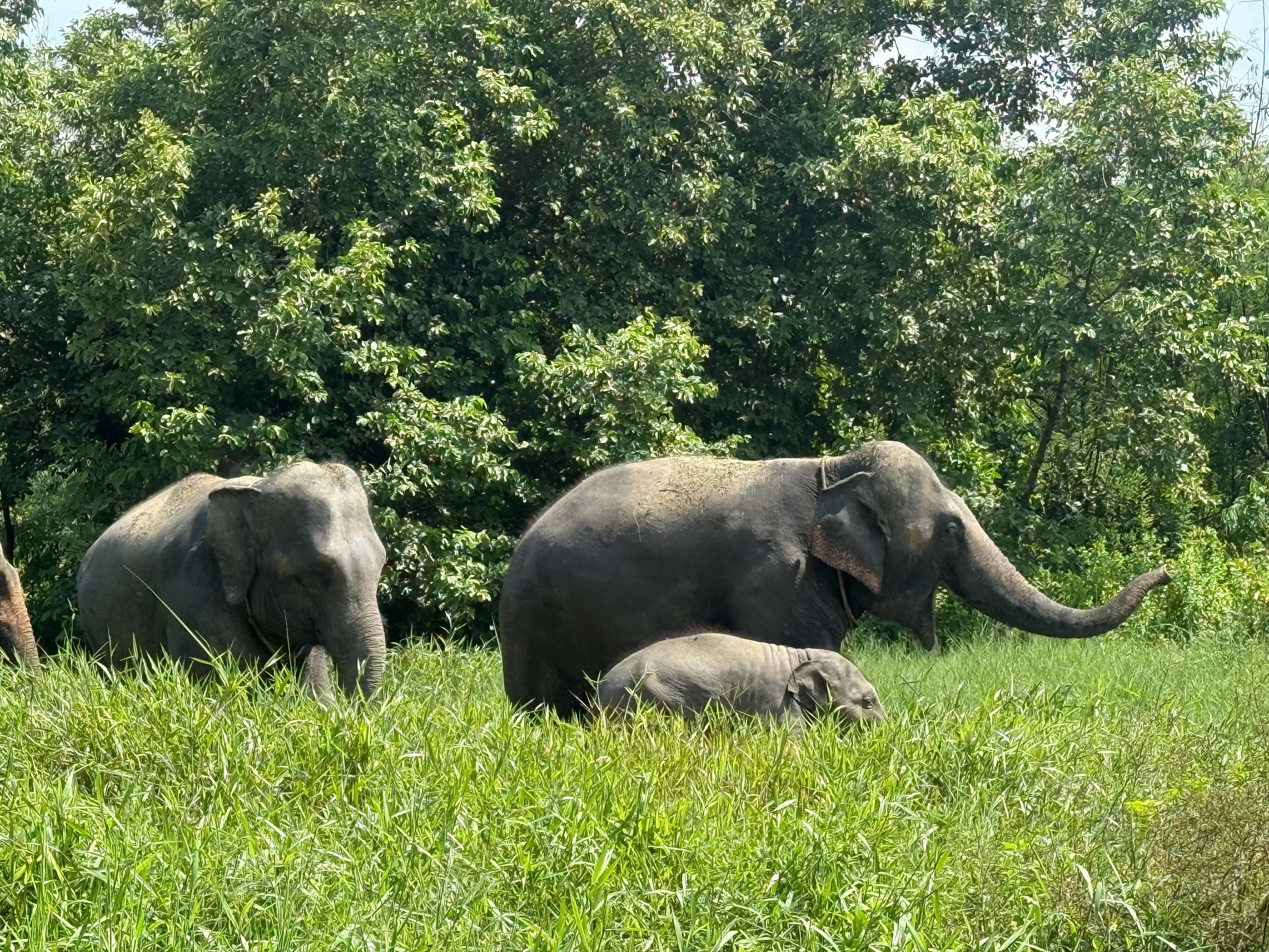 Community Recognition Hover