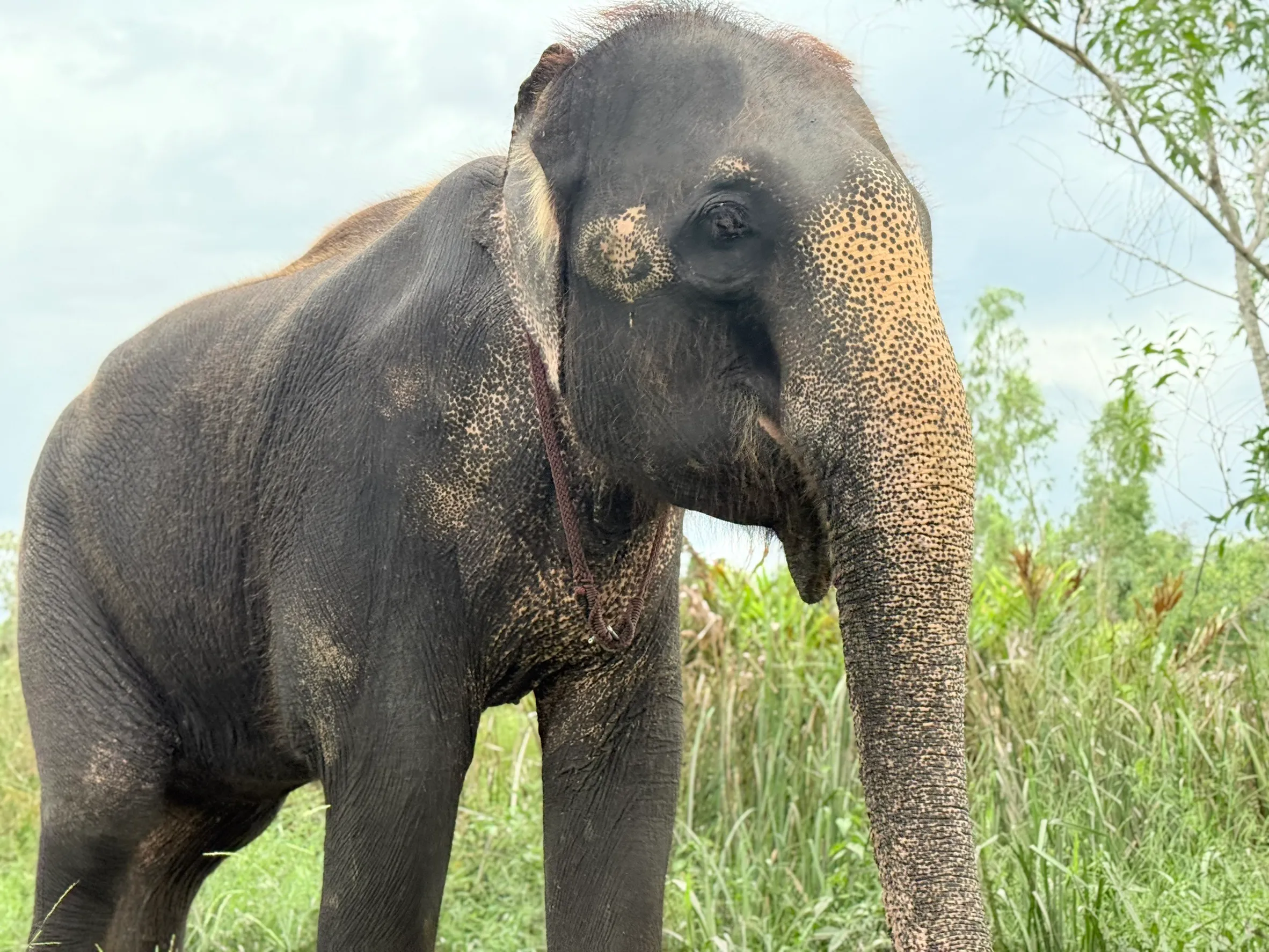 Press Features Hover