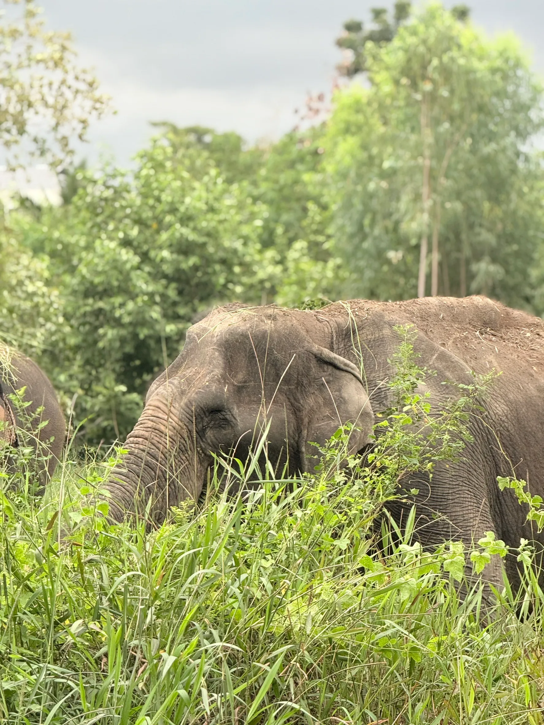 OTA Partnerships Hover